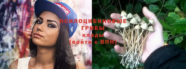 прущая мука Куйбышев